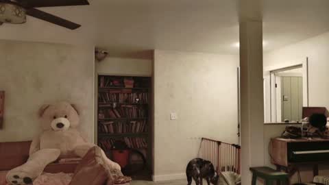 Snapshot of kaileeshy chatting on November 27, 4:58 am Kailee Smile online show from November 27, 4:58 am