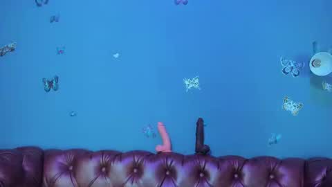 Snapshot of kaira_mosse_ chatting on August 2, 11:41 am kaira_mosse_ online show from August 2, 11:41 am