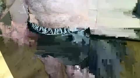 MusicMen49 online show from December 22, 8:27 am