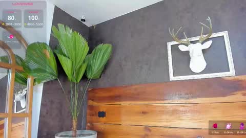   online show from February 20, 3:03 am