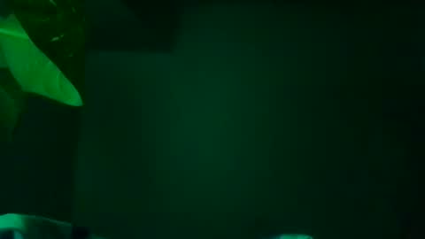 Snapshot of karla_gonzaless chatting on November 13, 7:29 am Karla Gonzaless online show from November 13, 7:29 am