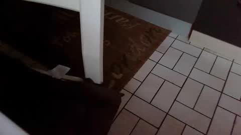 Snapshot of karlodi chatting on October 31, 7:42 am Kev online show from October 31, 7:42 am