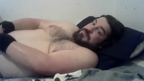 Cat-Pet online show from August 8, 6:48 am