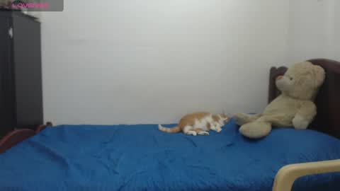 Snapshot of kate_leex chatting on June 17, 6:53 pm kate_leex online show from June 17, 6:53 pm