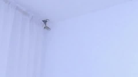 Help me with rate thanks  online show from January 8, 2:58 am