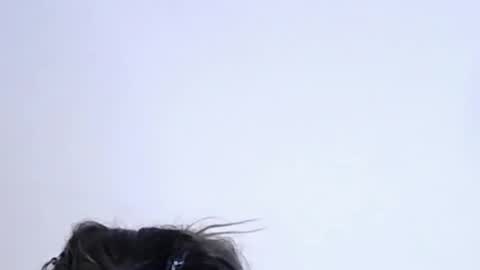 Help me with rate thanks  online show from February 10, 11:20 pm