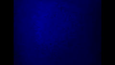 Snapshot of kathyfantasylover chatting on March 5, 10:21 pm kathy online show from March 5, 10:21 pm