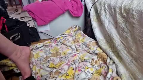 Snapshot of katladyzsafespace chatting on December 4, 5:54 pm katladyzsafespace online show from December 4, 5:54 pm