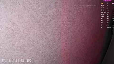 Snapshot of katrin_fox chatting on December 25, 12:16 am pvt open online show from December 25, 12:16 am