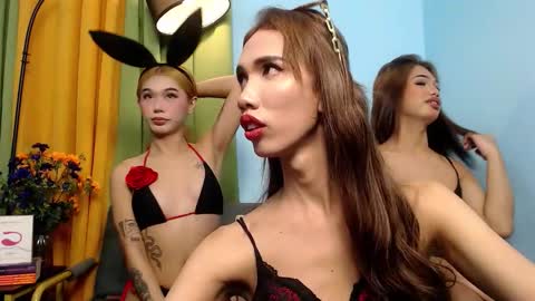 Snapshot of katrine_massivecock_lashes chatting on October 28, 12:14 am katrinetrixie online show from October 28, 12:14 am