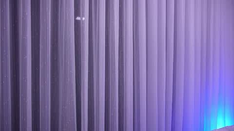 Katy online show from November 21, 11:53 am