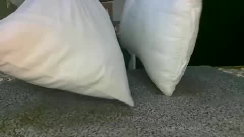 kawaiibabypie online show from December 17, 12:43 pm