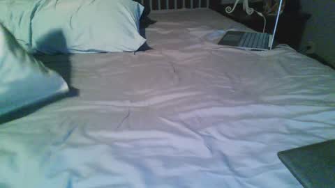 Sub online show from February 8, 8:20 am