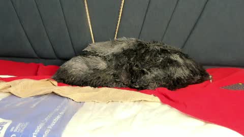 kendall_x0 online show from April 11, 7:45 am