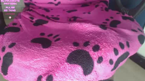 Kevin online show from February 25, 3:05 am