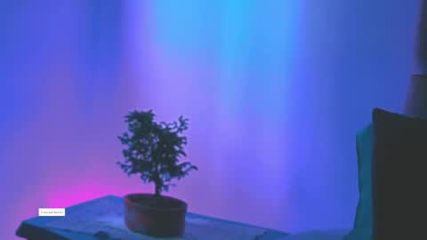 Snapshot of keyla_roberts_ chatting on May 10, 5:18 pm Adhara. Help me reach 100 likes online show from May 10, 5:18 pm