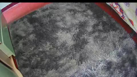 Keyla online show from February 25, 6:17 pm