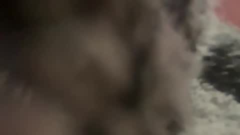 kg1726860 online show from October 11, 6:50 pm