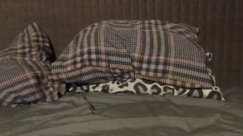 kiki3526 online show from November 23, 7:35 pm