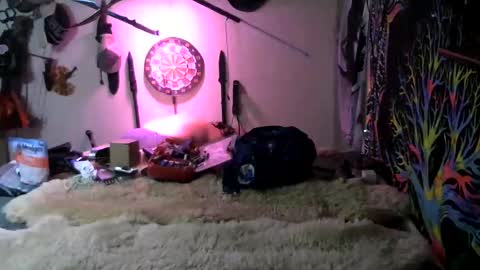 Jerry online show from March 7, 1:24 am