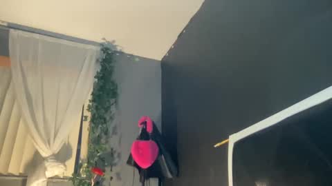 Snapshot of kinkykittee chatting on January 2, 11:41 am Bunniii online show from January 2, 11:41 am