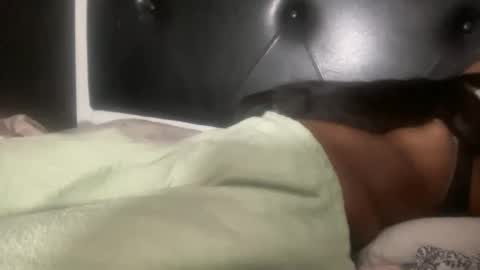 Snapshot of kinkykittee chatting on February 3, 5:40 am Bunniii online show from February 3, 5:40 am