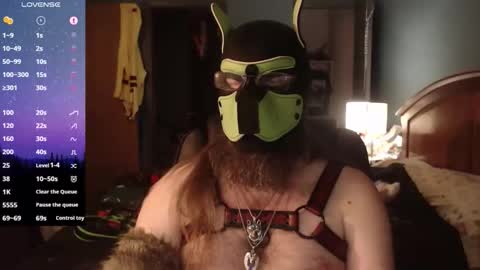 kinkywolf87 online show from April 3, 4:21 am