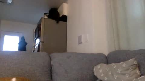 kinnkybwc online show from March 29, 11:16 pm