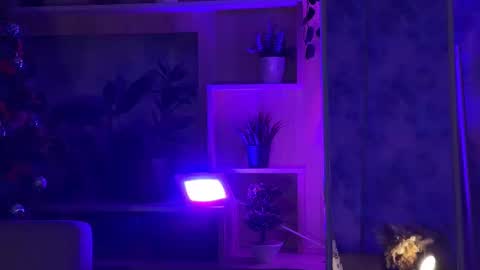 Kira    online show from February 16, 4:42 pm