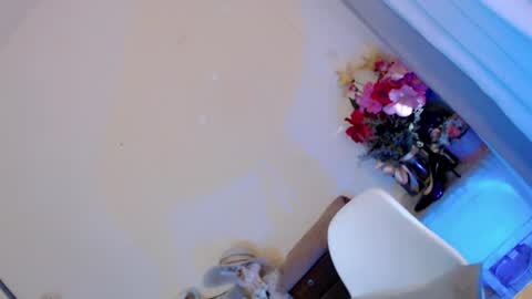 Snapshot of kissmebetter chatting on June 29, 12:06 am Saint Onicka online show from June 29, 12:06 am