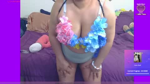 kitten online show from May 10, 12:49 am