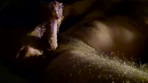 Kitkat loco online show from November 28, 1:14 pm