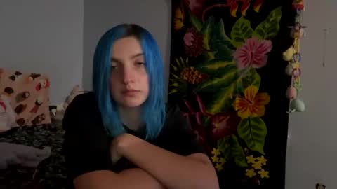 Snapshot of kitten4sale666 chatting on December 6, 7:54 am Kitty online show from December 6, 7:54 am