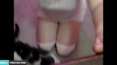 Snapshot of kitten4sale666 chatting on January 16, 2:09 am Kitty online show from January 16, 2:09 am