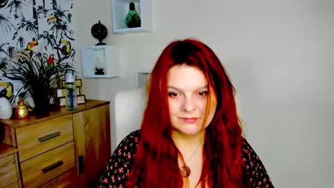 Kitten online show from May 8, 6:19 am