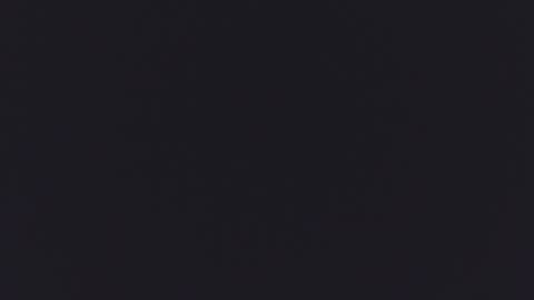 Kitty  online show from September 16, 12:17 pm