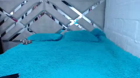 Snapshot of kittyzevee_ chatting on February 8, 1:11 am kittyzevee_ online show from February 8, 1:11 am