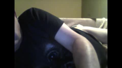 Snapshot of klingbeil501095 chatting on May 31, 9:49 pm klingbeil501095 online show from May 31, 9:49 pm
