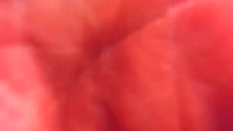 Snapshot of kobayaske chatting on February 15, 12:15 am kobayaske online show from February 15, 12:15 am