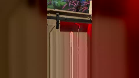 korysmith568 online show from February 20, 3:25 am