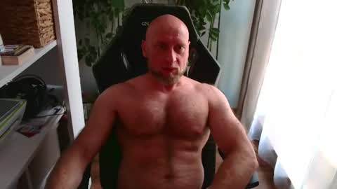 Kotylion online show from July 17, 3:39 pm