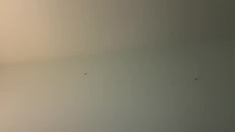 Snapshot of kovapoika chatting on October 23, 10:58 am kovapoika online show from October 23, 10:58 am