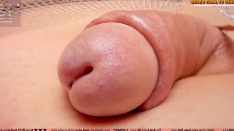 Petra online show from November 3, 7:15 pm