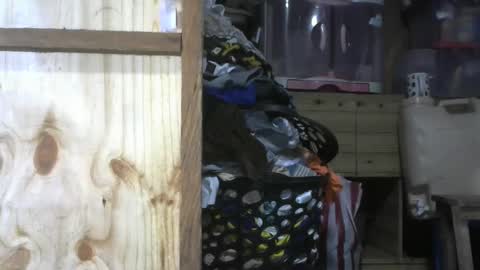 krishasweet online show from December 11, 3:58 pm