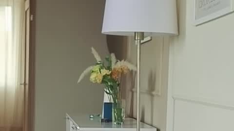 Snapshot of kristinedean chatting on September 13, 5:18 am Kristi online show from September 13, 5:18 am