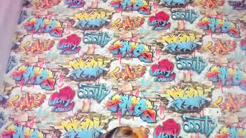 Snapshot of krysadapp chatting on November 27, 12:56 am Krys online show from November 27, 12:56 am