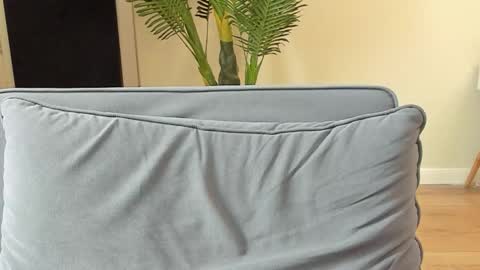 Kyle online show from November 5, 12:16 pm