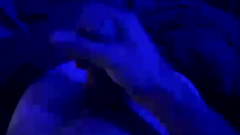 Snapshot of kyool chatting on July 25, 8:34 am kyool online show from July 25, 8:34 am