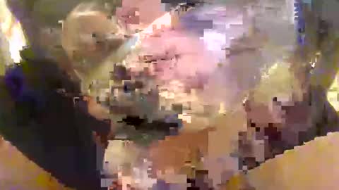 l0ngjohnsilv3er online show from October 16, 4:52 pm