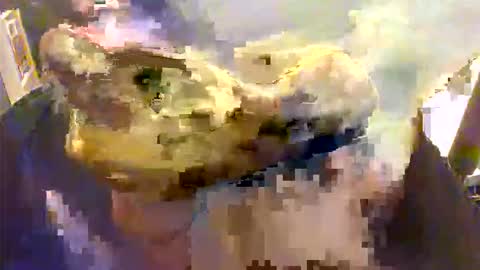 l0ngjohnsilv3er online show from November 26, 7:15 pm